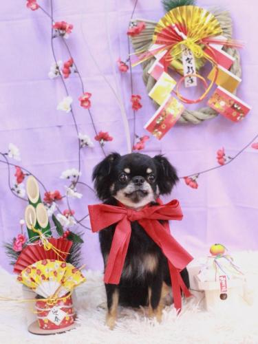 20230128ルナちゃん